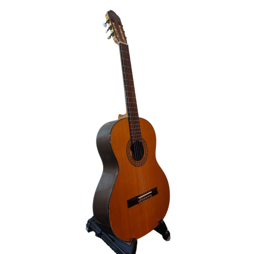 Guitar - Classical - Aria Guitar - Classical - Aria