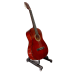 Guitar - Classical - Grape