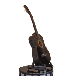 Guitar - Classical - Grape