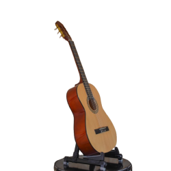 Guitar - Classical - Ibanez