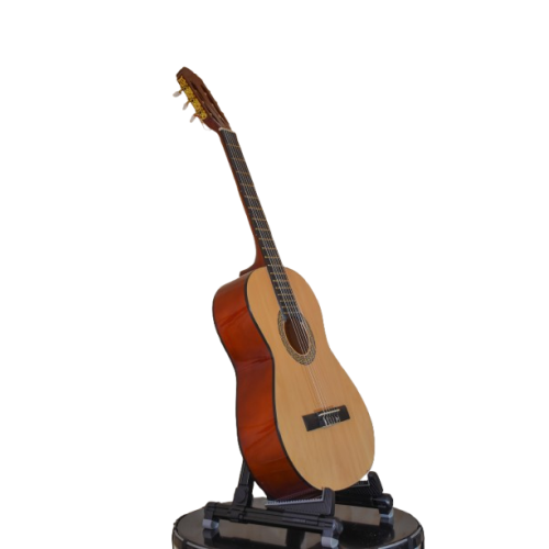 Guitar - Classical - Ibanez