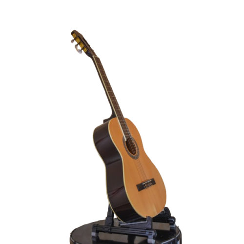 Guitar - Classical - Maxtone