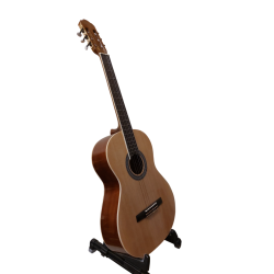 Guitar - Classical - Winzz