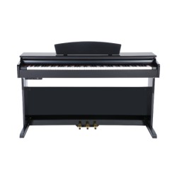 Piano - Electrical - Artesia