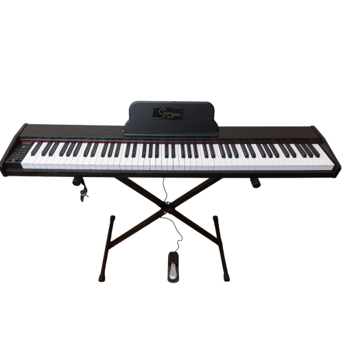 Piano - Electrical - Vines