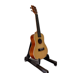 Ukulele