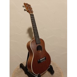 Ukulele