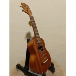 Ukulele