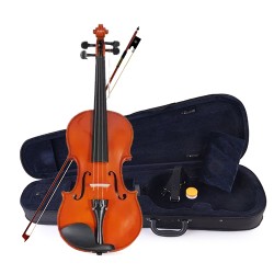Violin - Prince