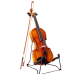 Violin - Prince