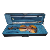 Violin - Prince