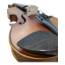 Violin - Prince