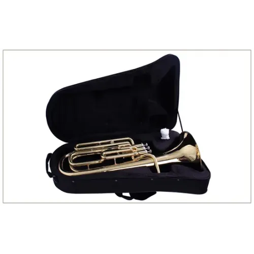 Baritone - Bach